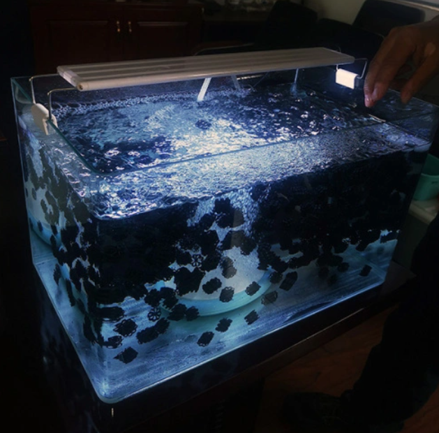 Advanced & Idea MBBR Carrier Media